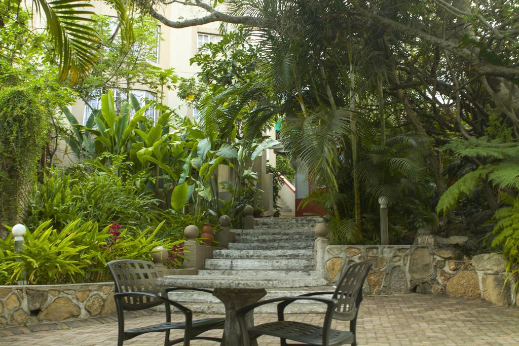 넬스프리트 선셋 매너 B&B 외부 사진